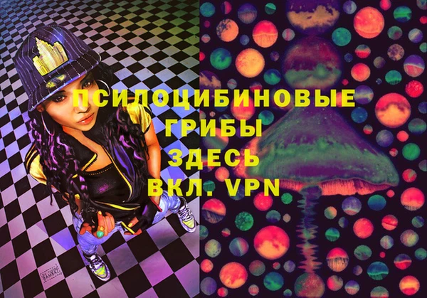 spice Сосновка