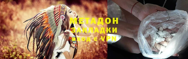 прущие грибы Магас